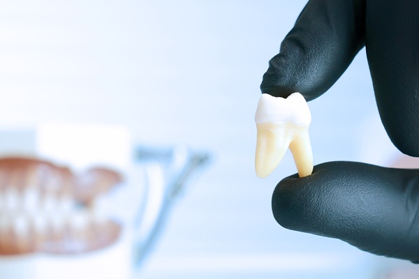 A Guide To Wisdom Teeth Extractions In Adulthood